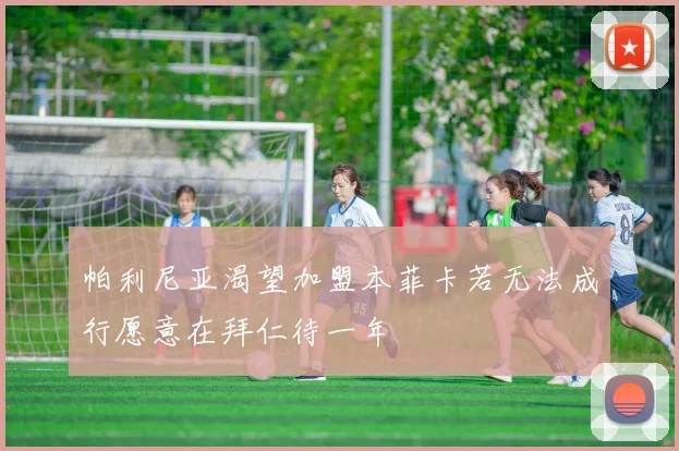 帕利尼亚渴望加盟本菲卡若无法成行愿意在拜仁待一年
